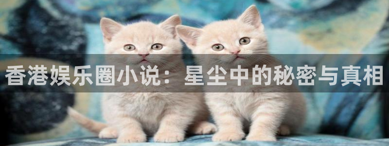 顺盈娱乐