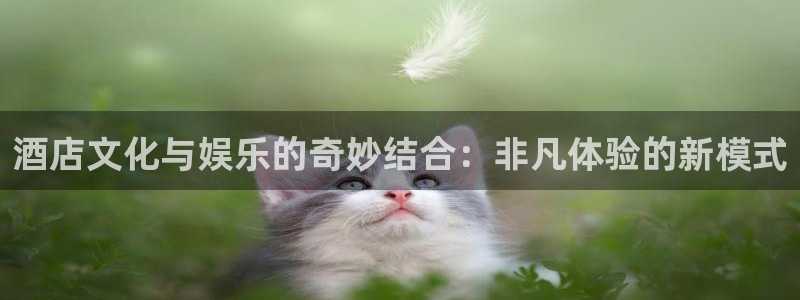 顺盈娱乐