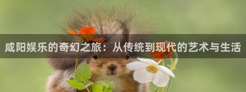 顺盈娱乐