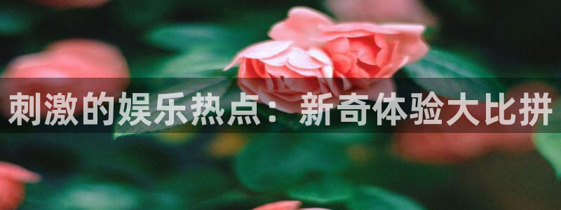 顺盈娱乐
