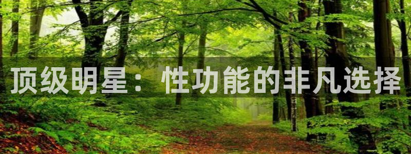顺盈娱乐