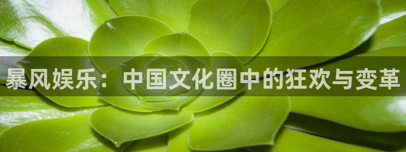 顺盈娱乐