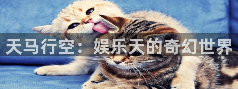 顺盈娱乐