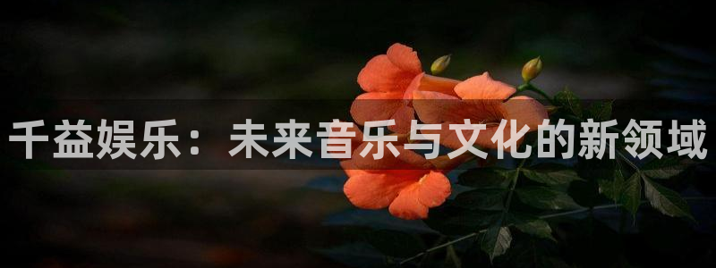 顺盈娱乐