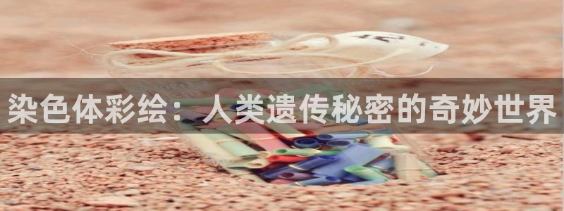 顺盈娱乐